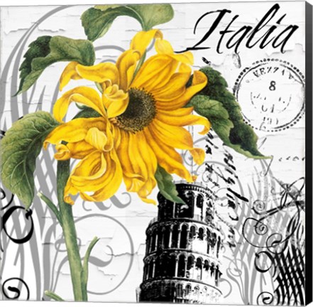 Framed Italia I Print