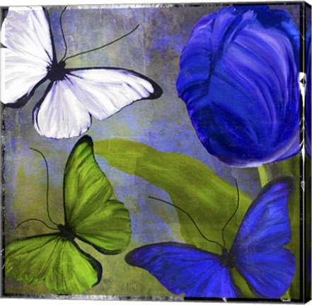 Framed Morphos Two Print