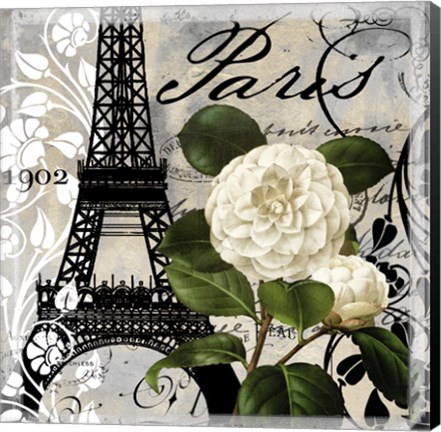 Framed Paris Blanc I Print