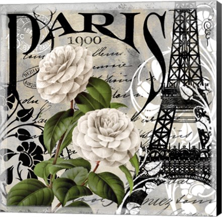 Framed Paris Blanc II Print