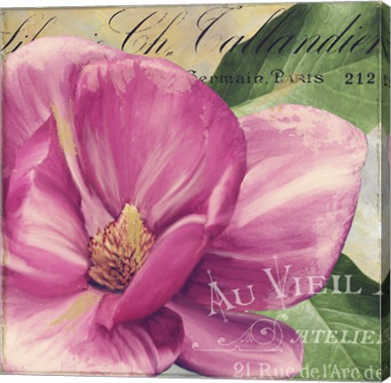 Framed Pink Magnolia II Print