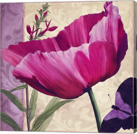 Framed Pink Poppy I Print