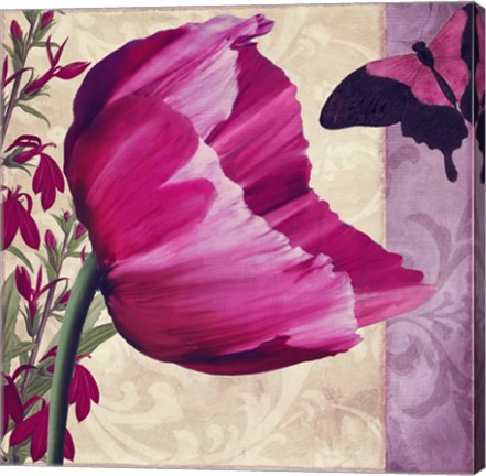 Framed Pink Poppy II Print