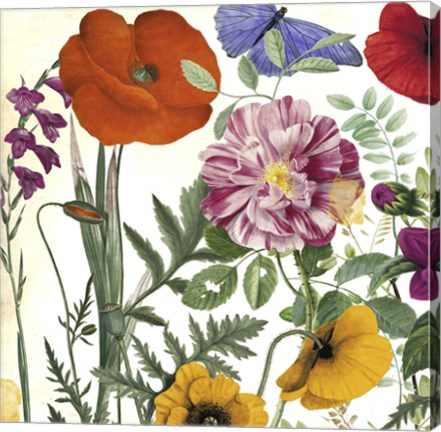 Framed Printemps II Print