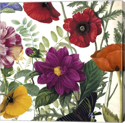 Framed Printemps III Print