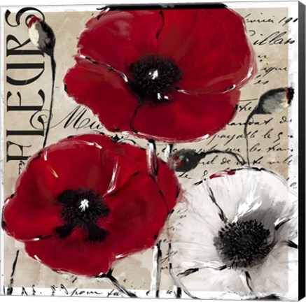 Framed Rouge One Print