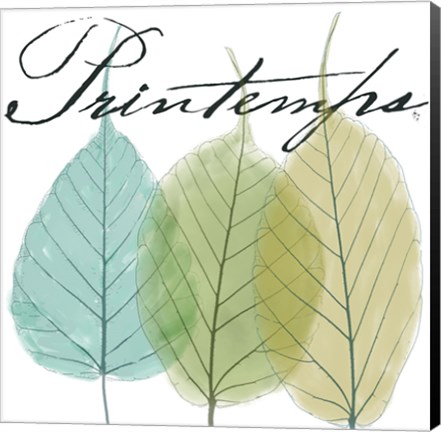 Framed Seasons I Print