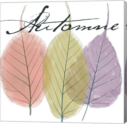 Framed Seasons II Print