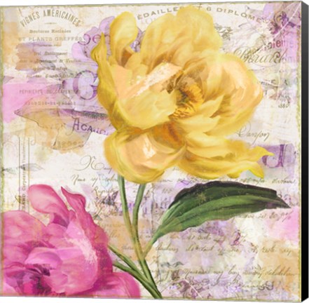 Framed Sitting Pretty II Print