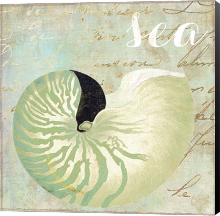 Framed Turquoise Beach I Print