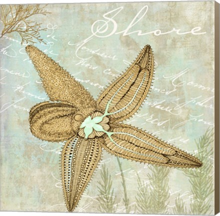 Framed Turquoise Beach V Print