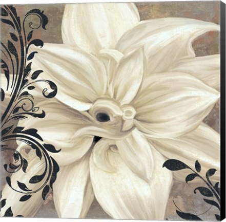 Framed Winter White II Print