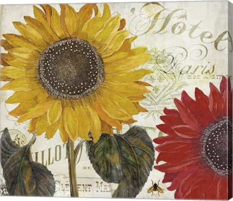 Framed Sundresses I Print