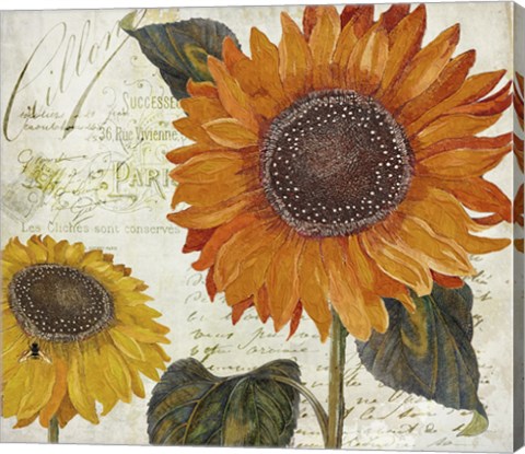 Framed Sundresses II Print