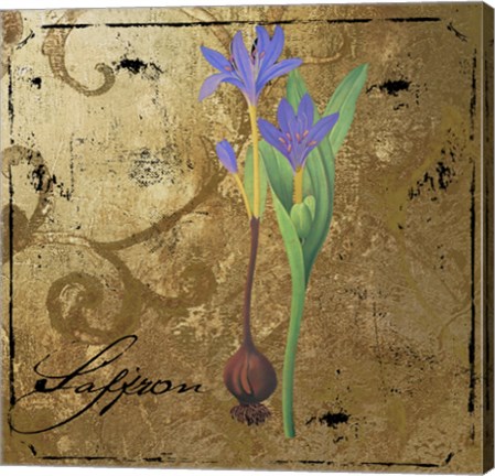 Framed Black Gold Herbs II Print