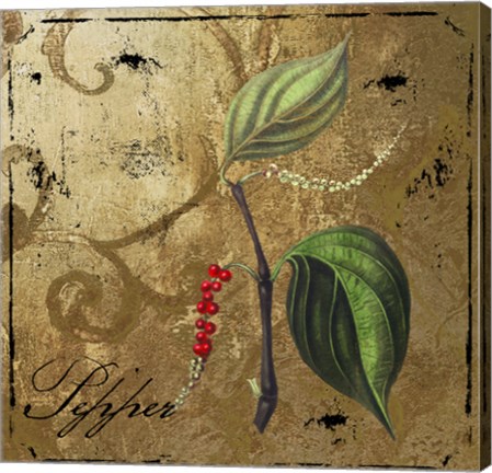 Framed Black Gold Herbs III Print