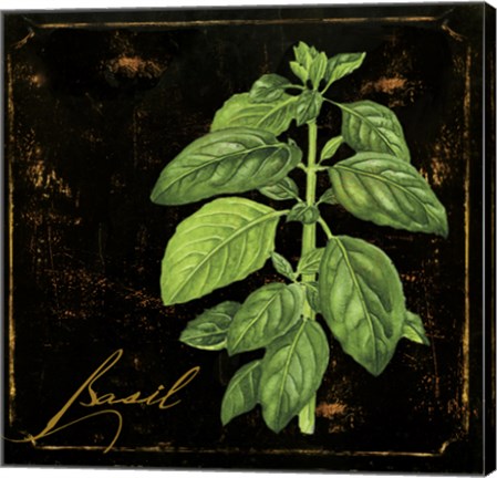 Framed Black Gold Herbs IV Print