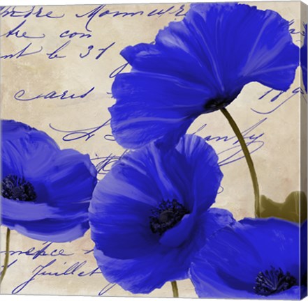 Framed Coquelicots Bleues I Print