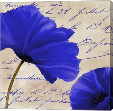 Framed Coquelicots Bleues II Print