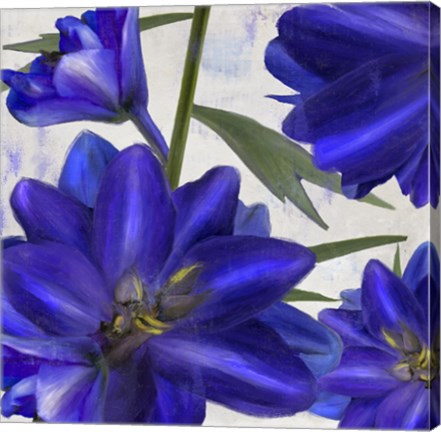 Framed Delphine II Print