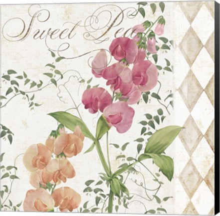 Framed Sweet Pea Print