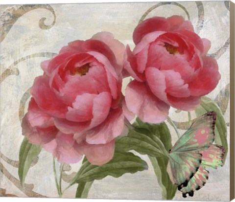 Framed Apricot Peonies I Print