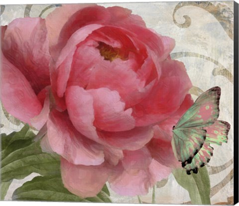 Framed Apricot Peonies II Print