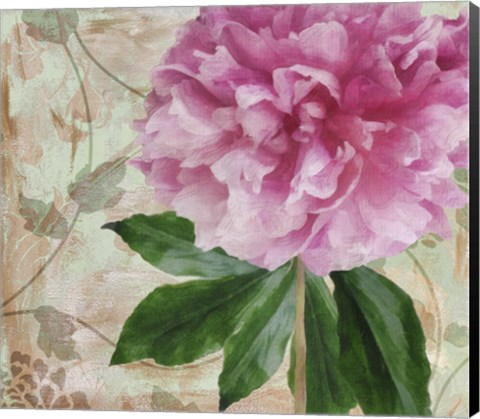 Framed Sonata II Print