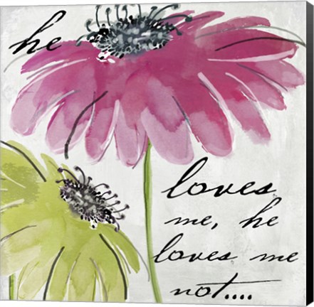 Framed Daisy Morning II Print