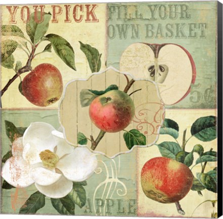 Framed Apple Blossoms II Print