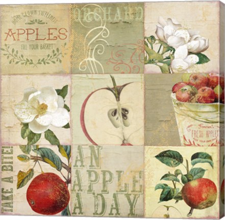 Framed Apple Blossoms III Print