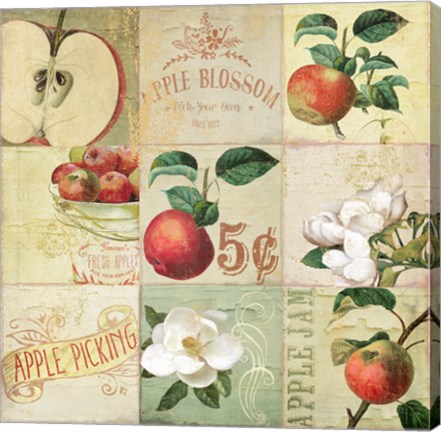 Framed Apple Blossoms IV Print