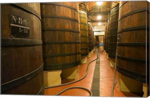 Framed Large Oak tanks holding wine, Bodega Muga Winery, Haro village, La Rioja, Spain Print