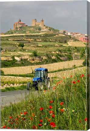 Framed Blue tractor on rural road, San Vicente de la Sonsierra Village, La Rioja, Spain Print