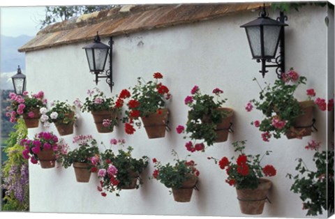 Framed Geraniums along White Wall of Palacio de Mondragon, Ronda, Spain Print