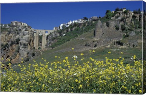 Framed Wildflowers in El Tajo Gorge and Punte Nuevo, Ronda, Spain Print