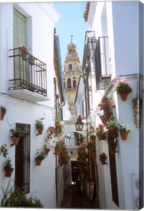 Framed Calleja de las Flores (Flower Alley), Spain Print