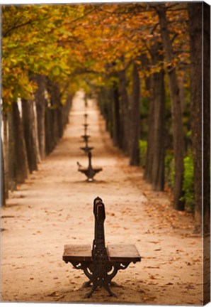 Framed Parque del Buen Retiro, Madrid, Spain Print