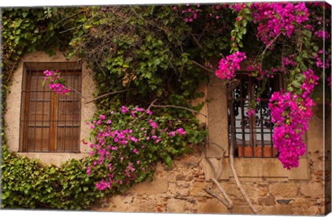 Framed Flower-covered Buildings, Old Town, Ciudad Monumental, Caceres, Spain Print