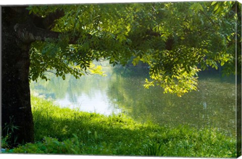 Framed Ason river Ramales de la Victoria Cantabria Spain Print