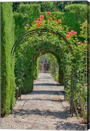 Framed Archway of trees in the gardens of the Alhambra, Granada, Spain Print