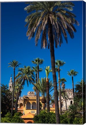 Framed Alcazar Gardens, Seville, Spain Print