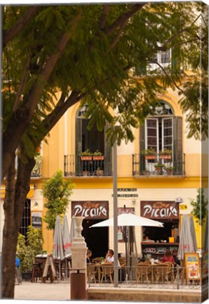 Framed Outdoor Cafes, Plaza de la Merced, Malaga, Spain Print