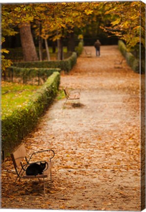 Framed Parque del Buen Retiro, Madrid, Spain Print