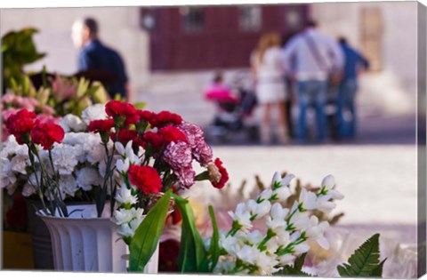 Framed Spain, Cadiz, Plaza de Topete Flower Market Print