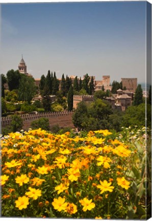 Framed Spain, Granada The Generalife gardens, Alhambra grounds Print