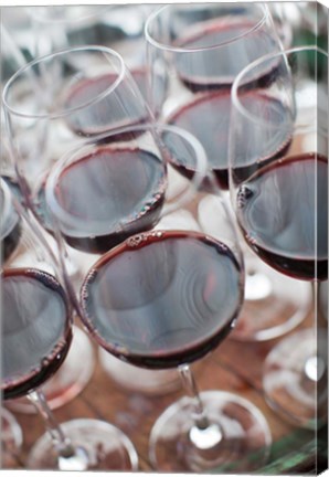 Framed Wine Tasting, Bodega Marques de Riscal Winery, Elciego, Basque Country Region, Spain Print