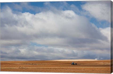 Framed Farm Field In Autumn, Benavente, Spain Print