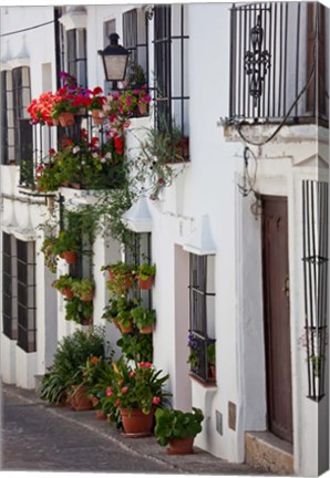 Framed Spain, Andalucia Region, Cadiz, Grazalema Potted plants by a home Print