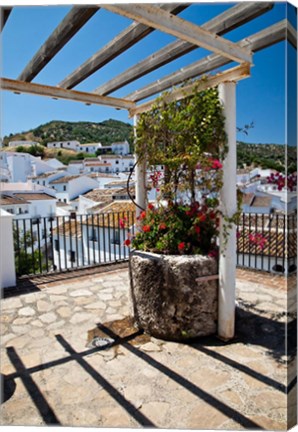 Framed Spain, Andalusia, Cadiz Province Potted plants Overlooking Rooftops Print